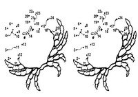 animals_dots12-D