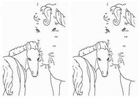 animals_dots7-D