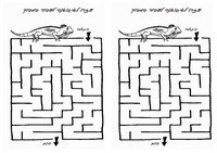 animals_maze16-M