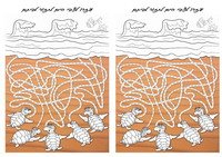 animals_maze20-M
