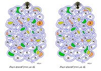 animals_maze25-M