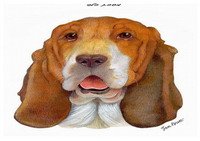 masks_dogs4-MS