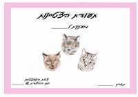 cat_ex1-EX