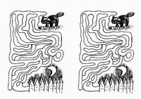 cats_maze6-MZ