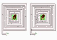 cats_maze7-MZ