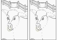 cowboy_dots15-DT