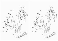 dog_dots1