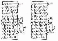 dog_maze1