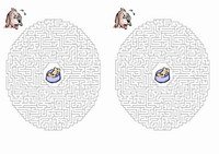 dog_maze3