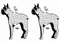 dog_maze4
