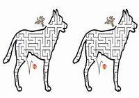 dog_maze6