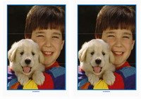 dog_puzzle8