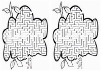 eco_maze11-M