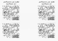 oz_diff1-DF
