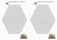 oz_maze3-MZ