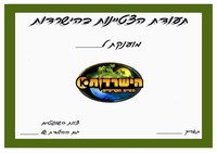 surviv_ex2-EX