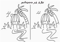 survivor_diff1-DF
