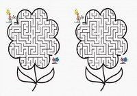 flow_maze1-MZ