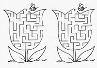 flow_maze2-MZ
