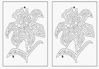 flow_maze3-MZ