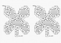 flow_maze5-MZ