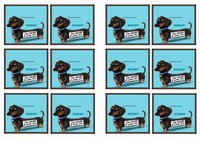 pets_tag3-TG