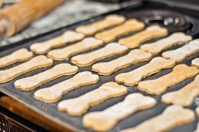 עוגיות בצורת עצם כלב