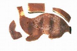 עוגת דינוזאור 1