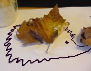 קיפוד עשוי מעלים