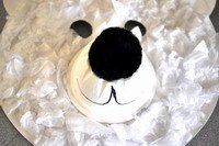 מסכת דוב הקוטב