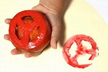 פיצה מבריסטול וצבע