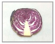 ניסוי בכרוב אדום - חומצה ובסיס