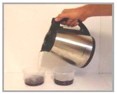 ניסוי בכרוב אדום - חומצה ובסיס