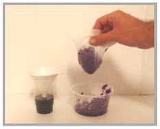 ניסוי בכרוב אדום - חומצה ובסיס