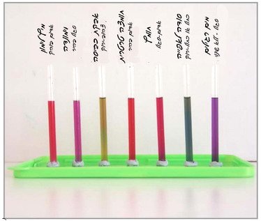 ניסוי בכרוב אדום - חומצה ובסיס