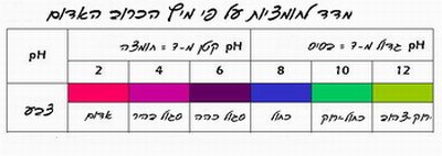ניסוי בכרוב אדום - חומצה ובסיס